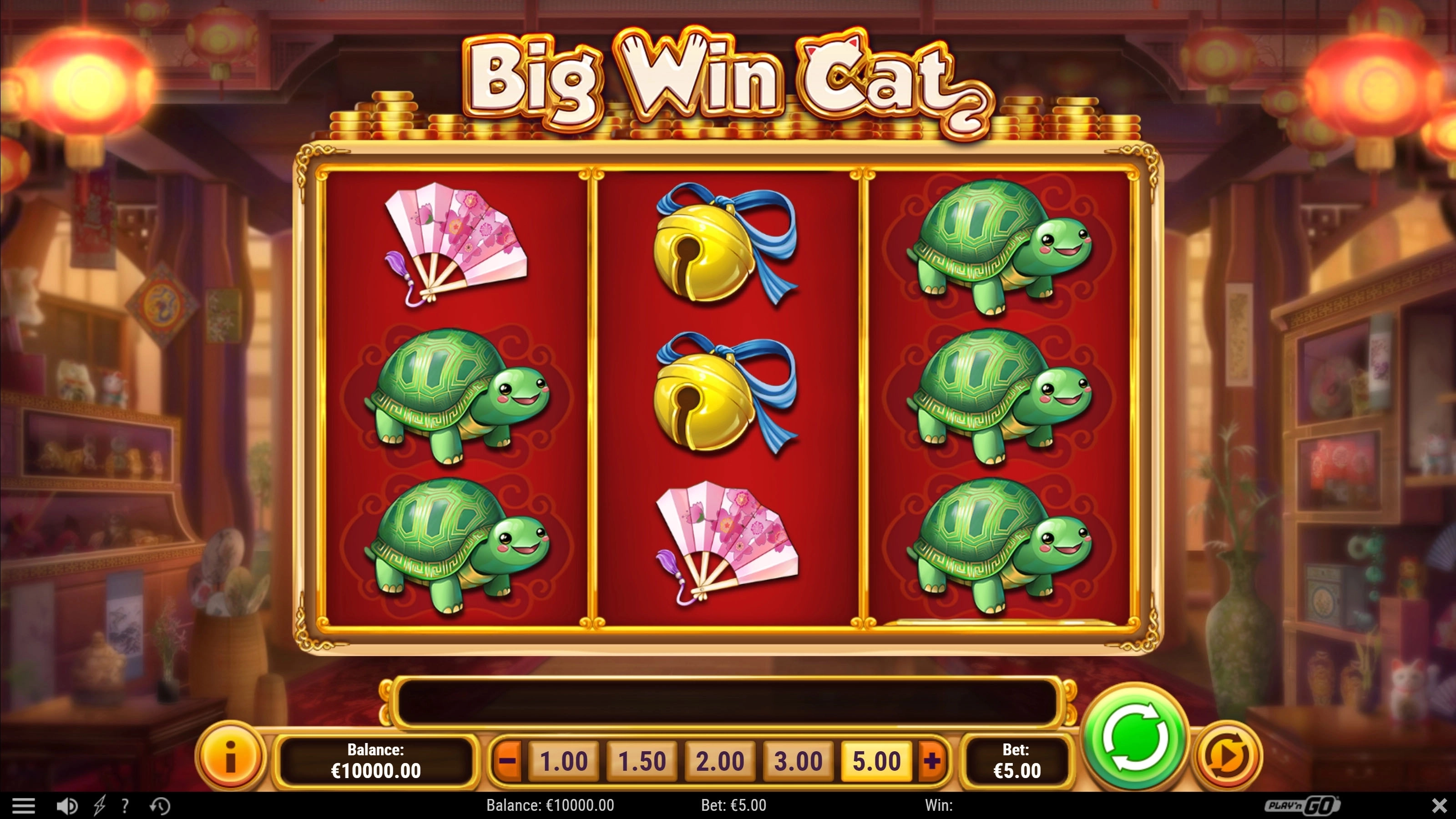 Big Win Cat